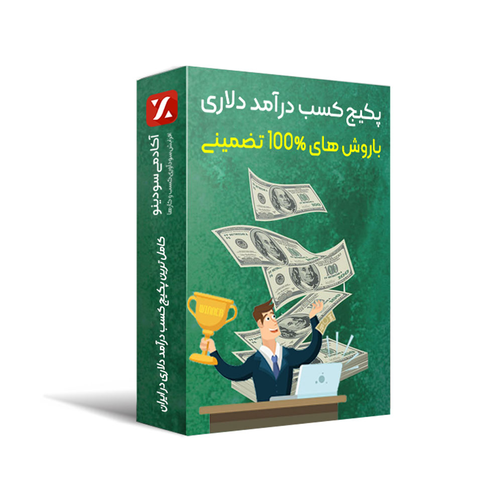 دوره آموزش کسب درآمد دلاری در ایران با روش های 100% تضمینی